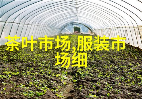 QQ最新资讯 - 腾讯动态揭秘最新QQ功能更新与用户体验改进