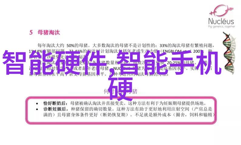智慧殿堂启迪卓越的评估之旅