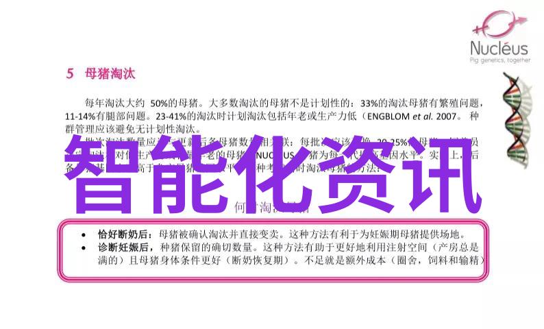 促进剂让生活更滋润我是如何发现小心思的魔法