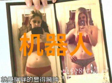 机械之魂探索机器人的未来