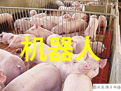 活力净化小型活性炭生产设备的秘密武器
