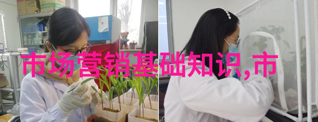 微芯之梦中国芯片制造的现代曙光