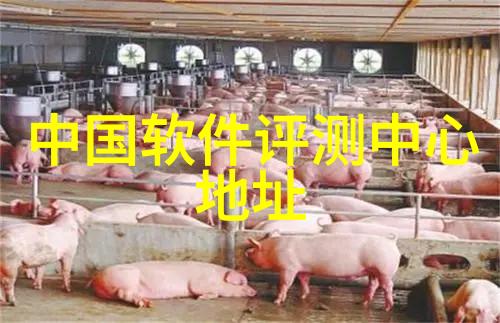 定制化解决方案定做响应式锅炉对公司预算的影响与分析
