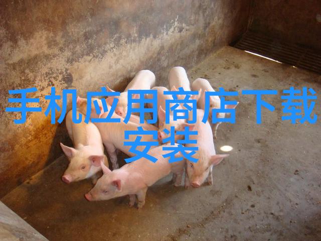 家庭中的绿色行动使用塑料分离器的好处