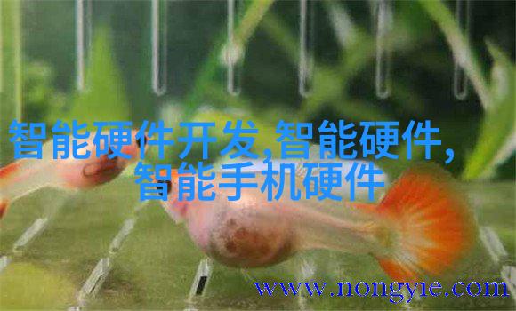 圆口吻结构设计