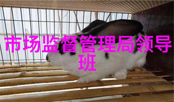 华为应用市场从0到英雄快来抢先体验