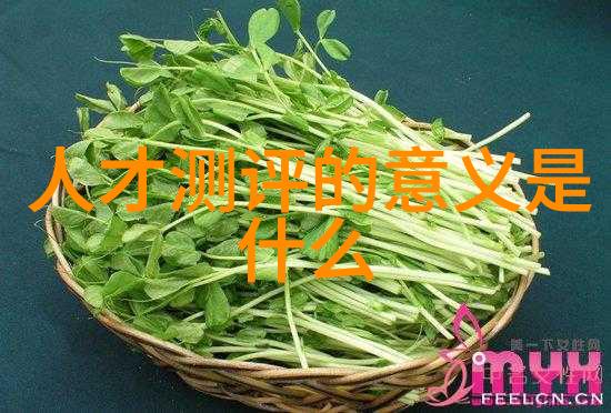 逆境中的创新scr反应器结构的奇迹之谜