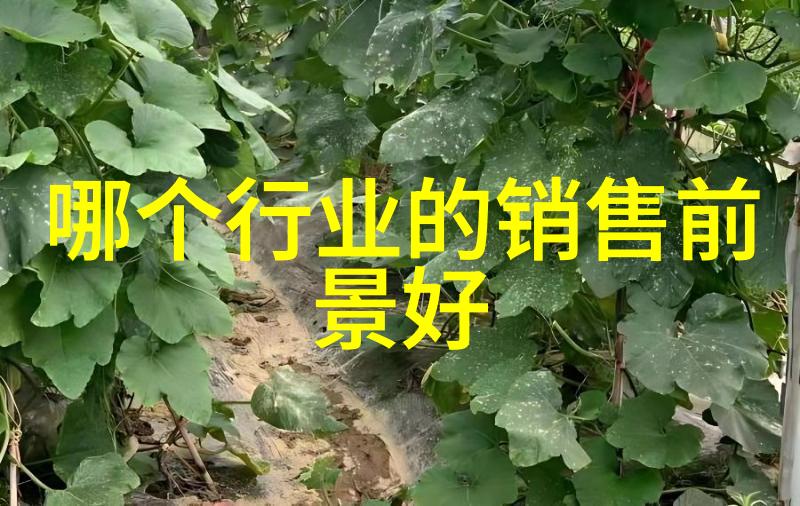 探索心理世界你是哪种人十六种人格类型介绍图