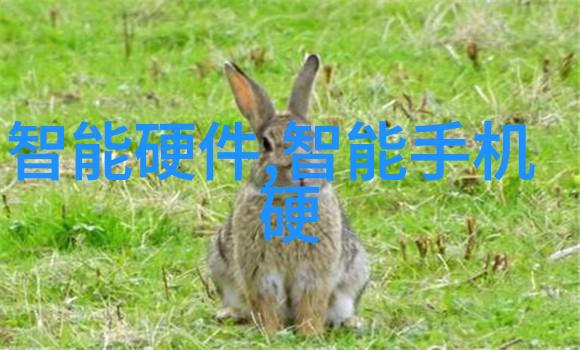 重生之周芷若逆袭与复仇的传奇