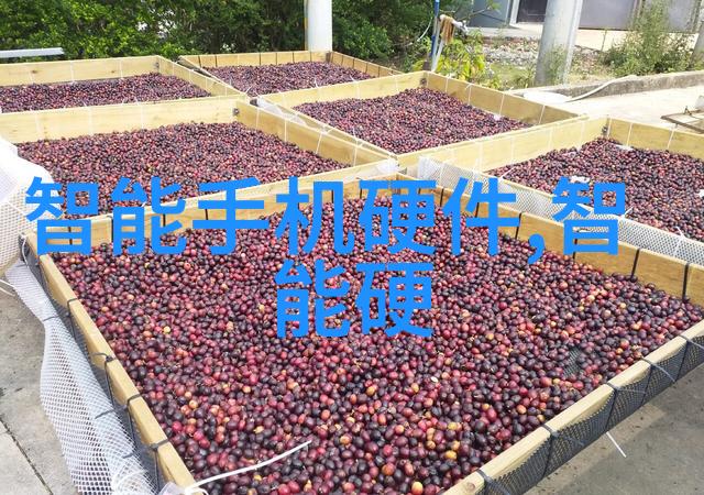 娱乐圈-四房同播背后的故事与行业变革