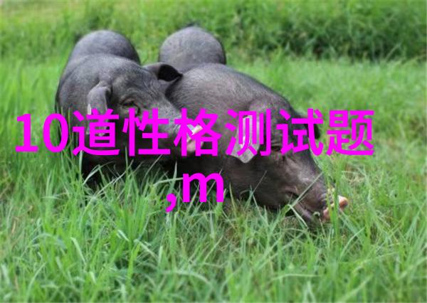 智能手表的使用说明-掌握智慧穿戴详尽指南