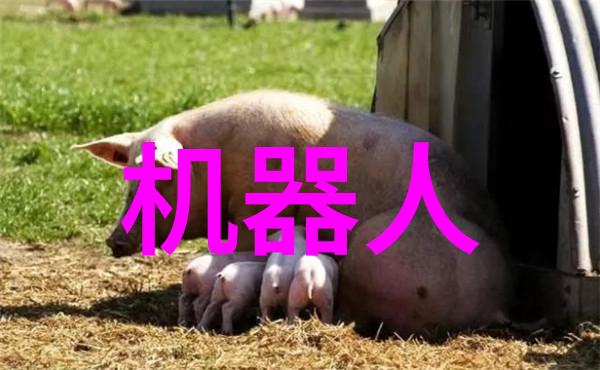古龙与现代科技的较量创新与传统的和谐共生