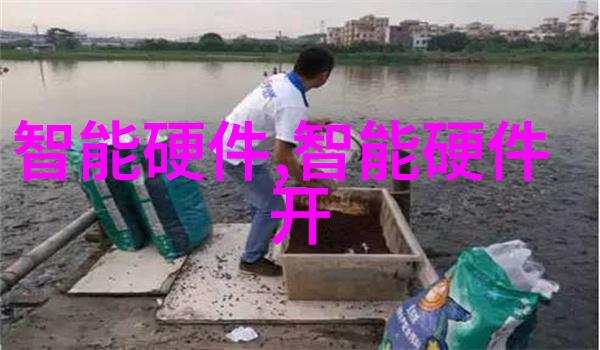 逆袭的甜蜜从野生梦想到世界市场的龙眼荔枝新贵