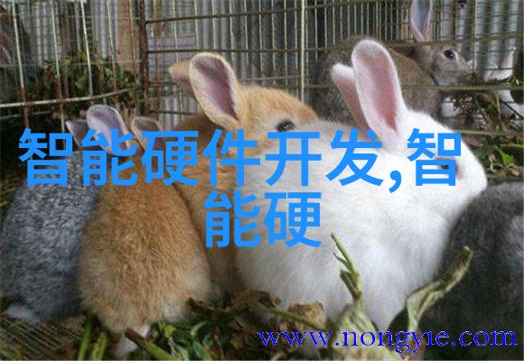 hdpe排水管管件图片-HDPE排水管系统配件图解指南