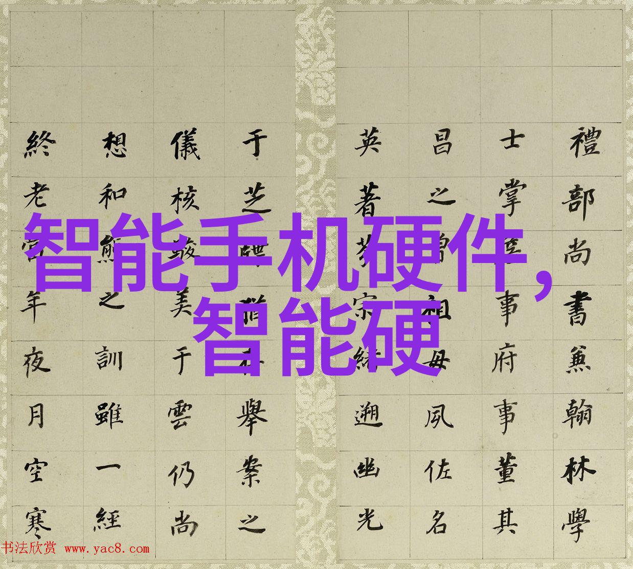 灭菌锅的特种身份探究其在医疗环境中的特殊地位与管理要求