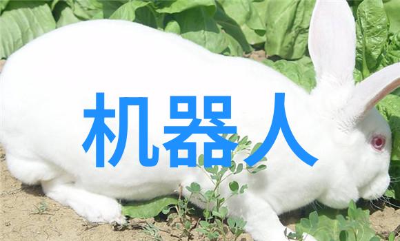 化工注射剂机械高效稳定自动化生产系统