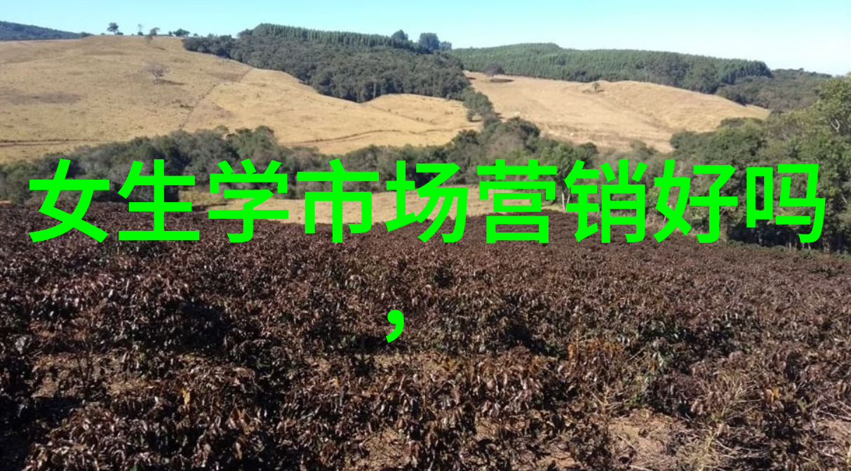 小米13调光技术的创新解析从理论到实践的应用探究