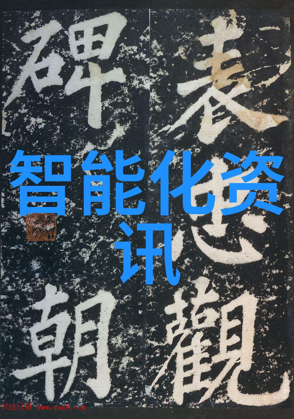 膜与其组成之谜揭开生物界的双层秘密