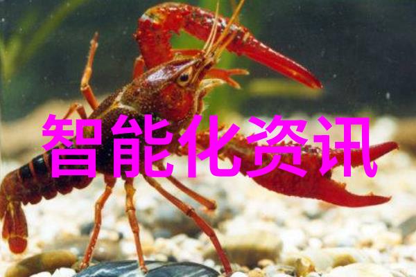 塑料网中国的无形巨龙