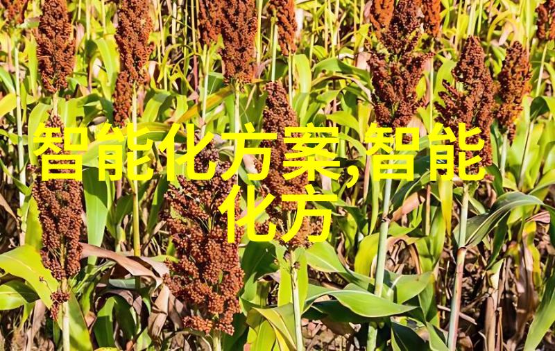 盘锦pe管生产厂家-精准制造之冠盘锦地区的PE管生产厂家之光