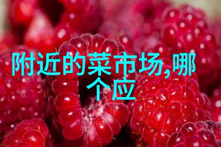 东方技艺之光金华职业技术学院的辉煌前程
