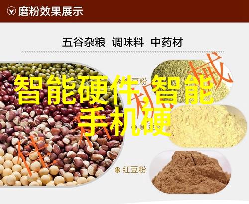 山东财经大学燕山学院的国际化办学模式是什么样的带来了哪些益处