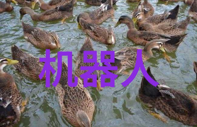 电网智慧新篇章中电信息科学研究院的创新探索