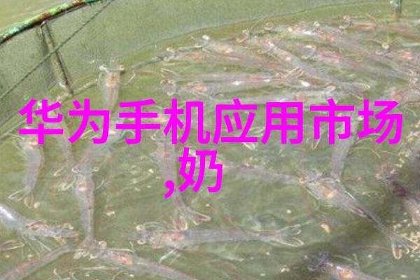 姐姐真漂亮5电视剧-镜中花水中月探秘姐姐真漂亮5的美丽背后