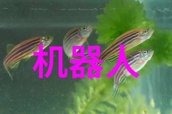 芯片设计揭秘深度解读内部结构图的奥秘