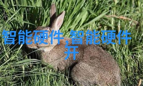 人工湿地火山岩填料生态环境改善的自然模拟材料