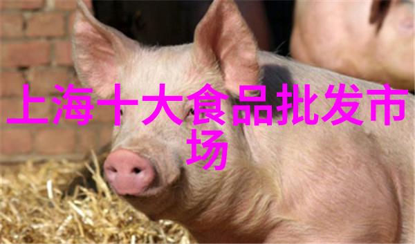 中国芯片公司中芯国际SMIC海思半导体联电UMC台积电TSMC