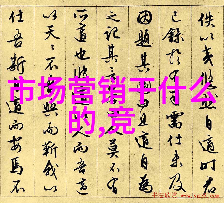 从校园到社会中央财经大学毕业生的职业发展路径分析