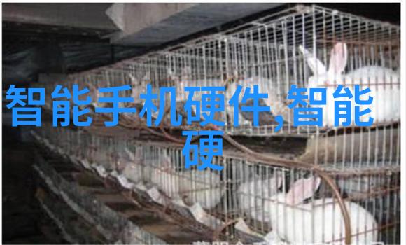 工作报告总结之谜揭开成功背后的秘密吗