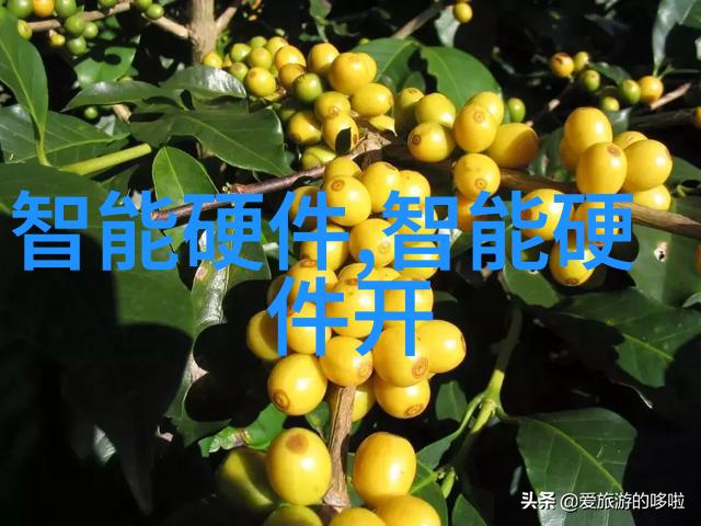 制动系统中的关键部件刹车分泵的作用与维护