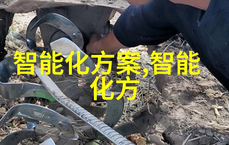 实训报告心得体会我的学术小憩与技术探索