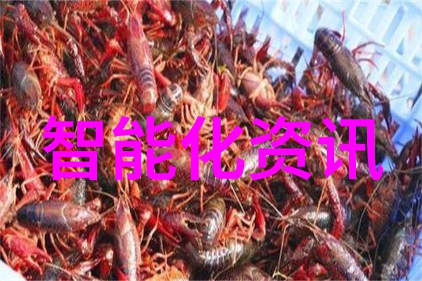 学渣逆袭坐在学霸鸡叭上写作业的励志故事视频