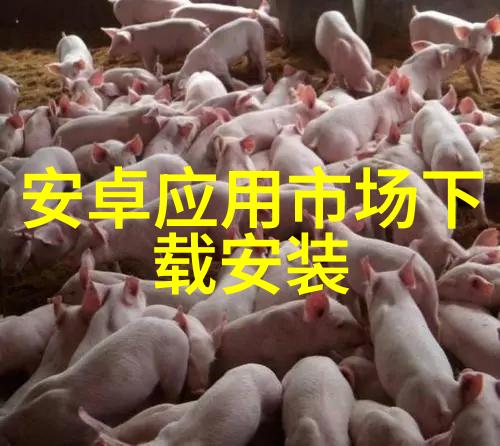 工作开展情况报告模板详细分析和实用指南