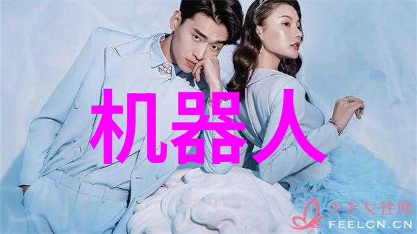 管道界的守护者dn50鲍尔环的秘密故事