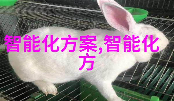 不锈钢陶瓷填料超级材料的秘密花园