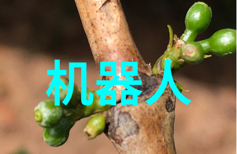 科学探究-浓度之谜揭秘物质世界中的量化密度