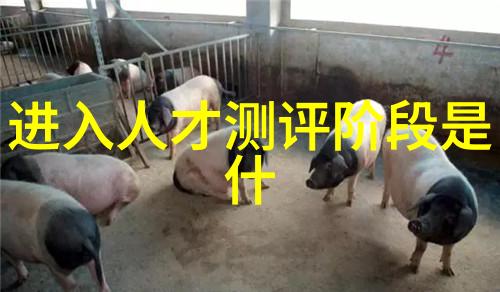 电影界的新星探索最新影片中的创新之举