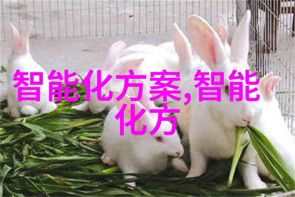 工业废气处理系统中的废气净化塔高效污染物去除设备