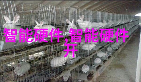 重生一黑道女王-从废柴到霸道巨擘的逆袭故事