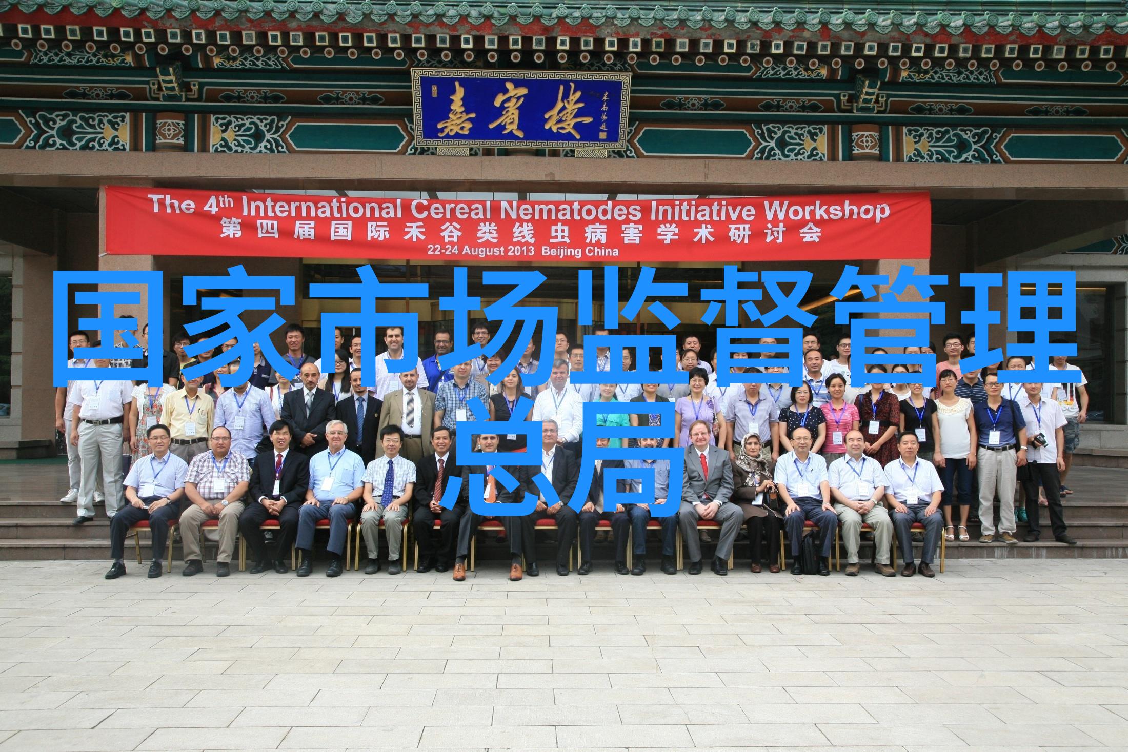 新星崭露魔兽世界的奇迹与挑战