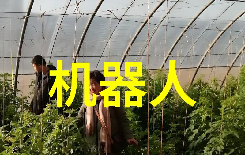 每当我看见她的jk慢慢脱离她渐行渐远的JK时光