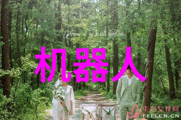 武汉职业技术学院-武汉职技新篇章专业教育的创新实践与社会服务之旅