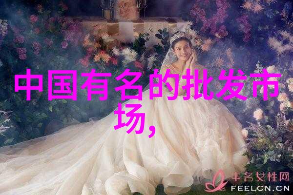 科技秘密守护者揭秘国家保密科技测评中心证书查询的奥秘