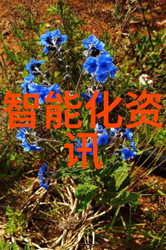 人本身便是奇迹揭秘独特之人的无限可能