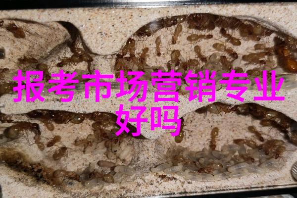 金融人才培养中央财经大学的实践教学模式探究