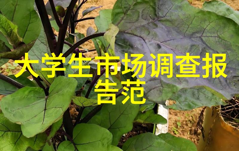 在选择PE管材时应如何比较不同供应商的批发价格